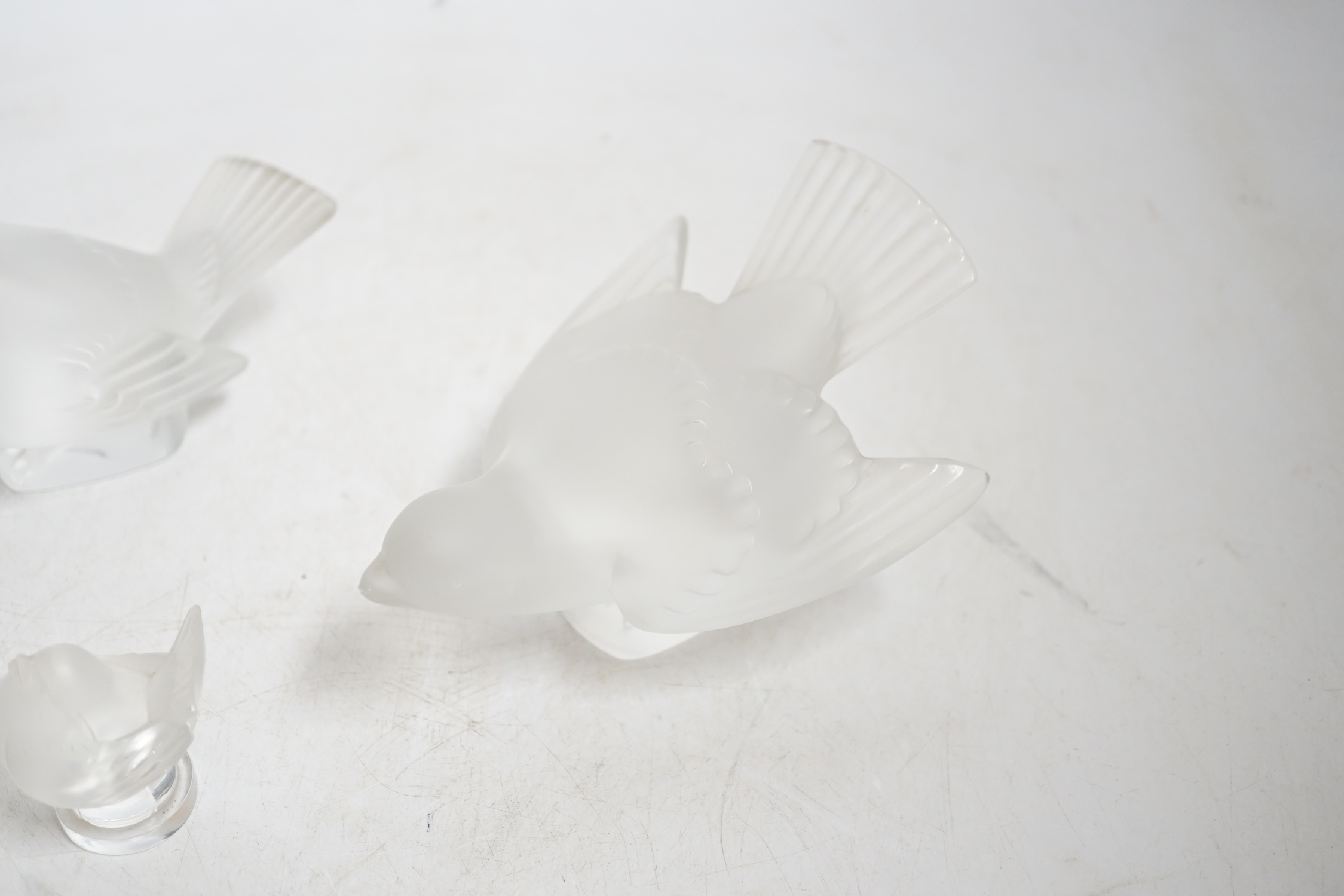 Three modern Lalique glass birds and a similar Lalique dish, each signed, largest 13.5cm wide. Condition - good